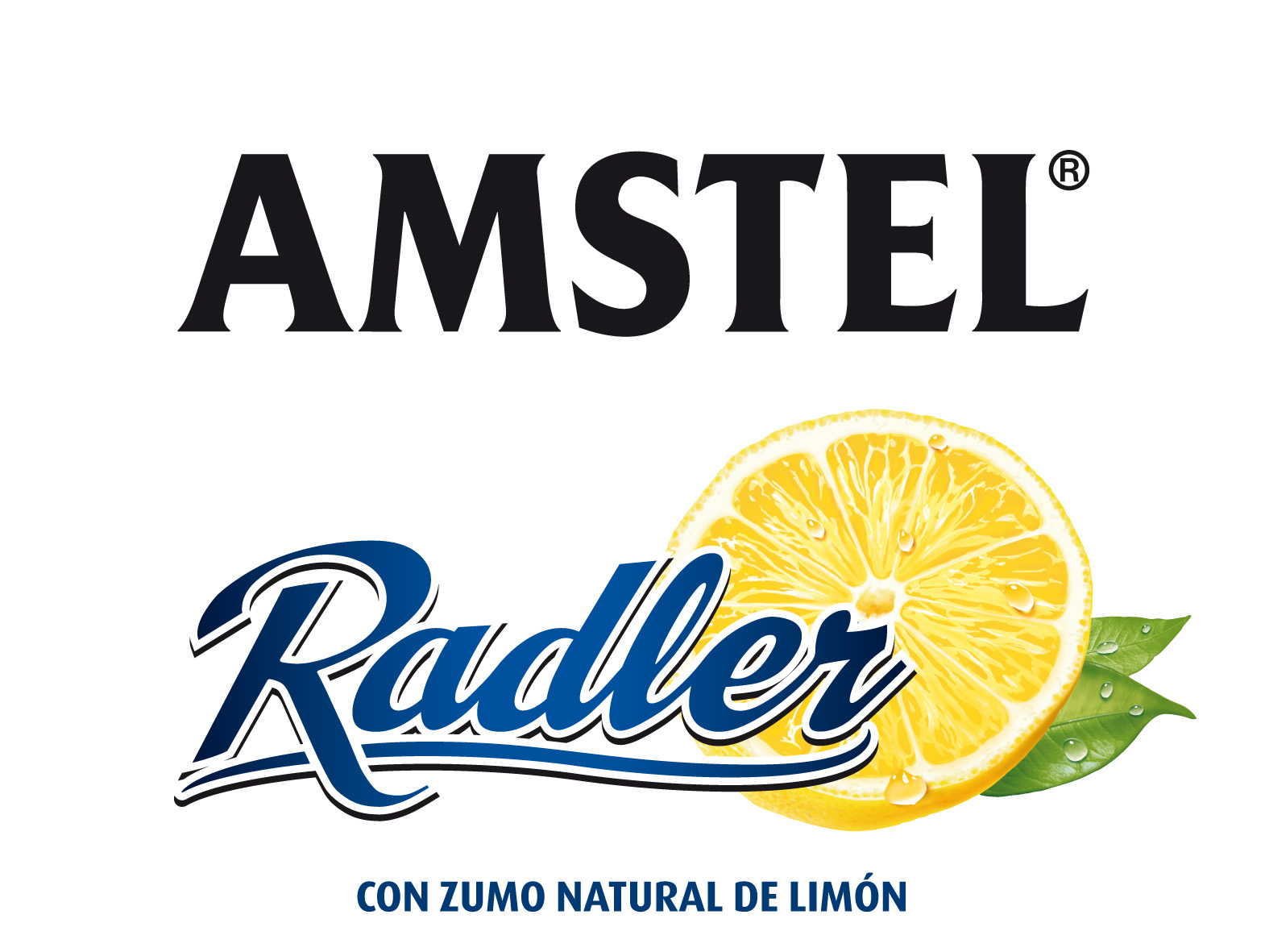 logo mendizale federazioa